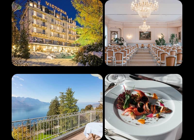 Katarina Horizons 2025